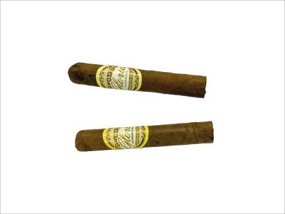 GLORIA 1/2 CORONA MFC