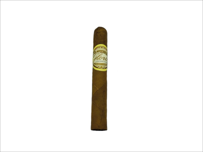 GLORIA PETIT CORONA MFC