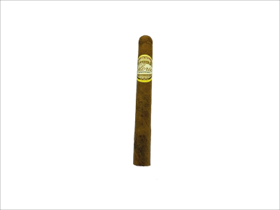 GLORIA CORONA MFC