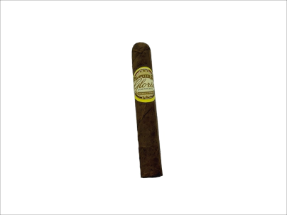 GLORIA ROBUSTO MFC
