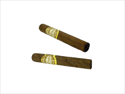 GLORIA ROBUSTO MFC